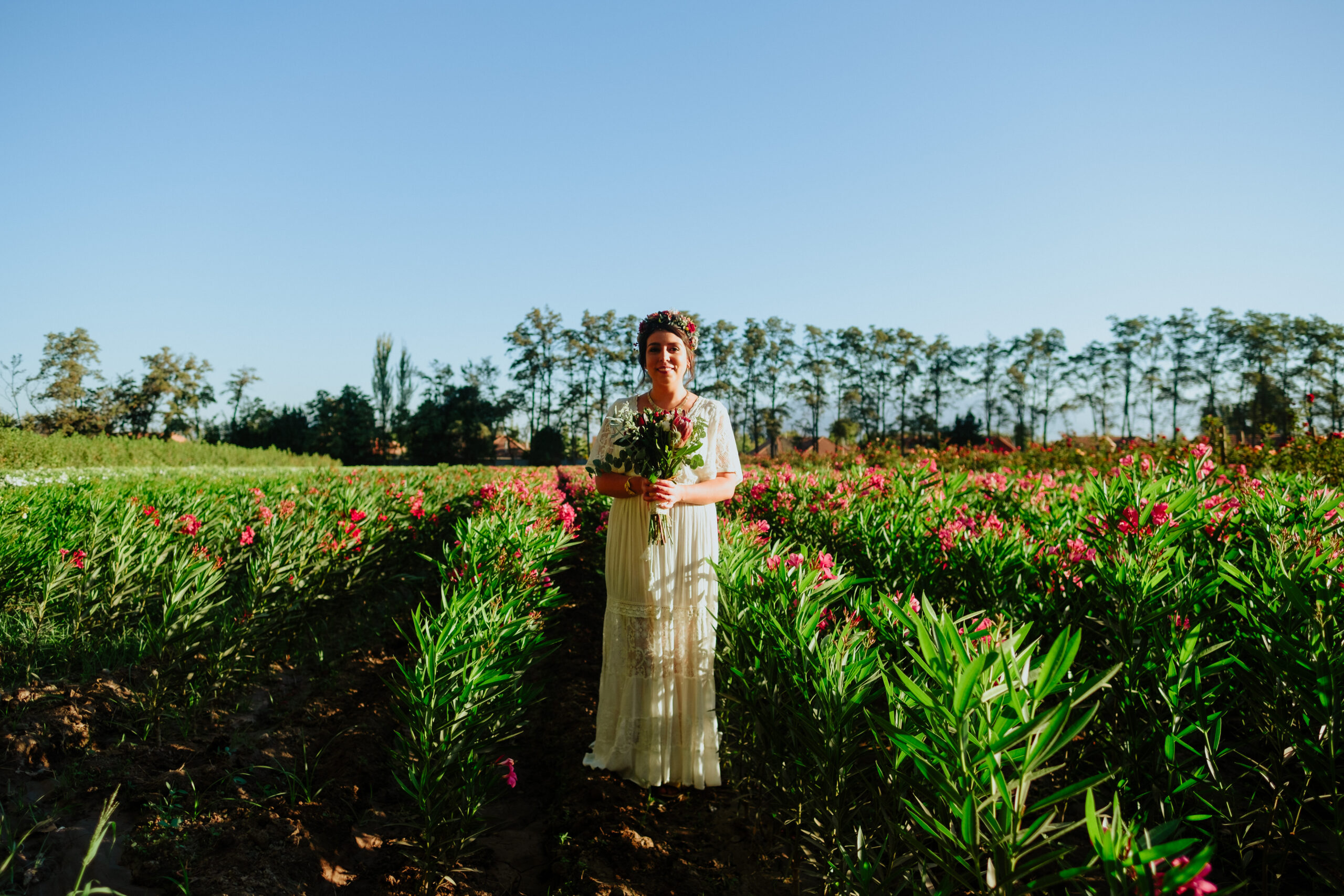 Matrimonios